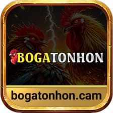 Profile picture for Bồ Gà Tonhon