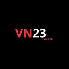 Profile picture for VN23