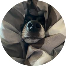 Profile picture for Aleksandra Los