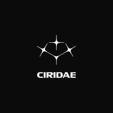 Profile picture for Felix Stocker