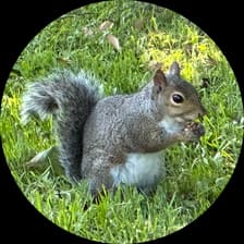 Profile picture for David S