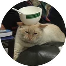 Profile picture for Lucy