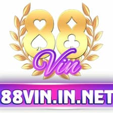 Profile picture for 88vin