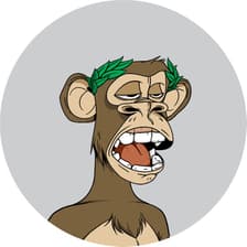 Profile picture for Quinten Francois