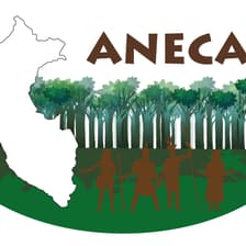 Profile picture for ANECAP PERU