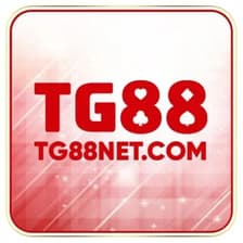 Profile picture for tg88
