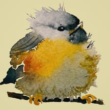 Profile picture for Quiet Smile