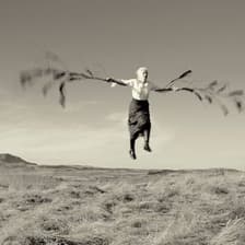 Profile picture for michael dobbie