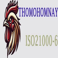 Profile picture for Thomo Hôm Nay