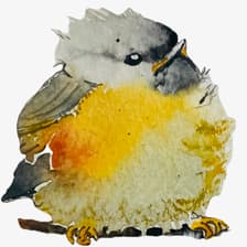 Profile picture for Quiet Smile