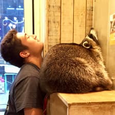 Profile picture for Noah Chon Lee