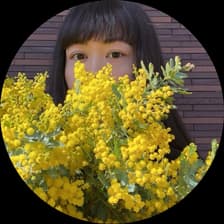 Profile picture for Miyuki