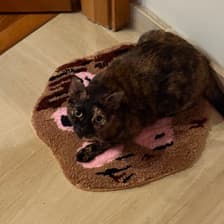 Profile picture for Natalie Sutanto