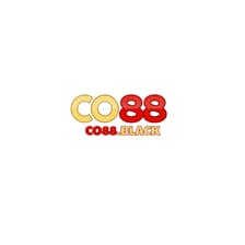 Profile picture for Co88