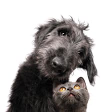 Profile picture for Tatjana / Liza