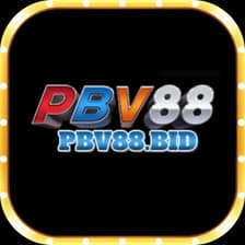 Profile picture for Pbv88