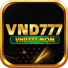 Profile picture for vnd777mom