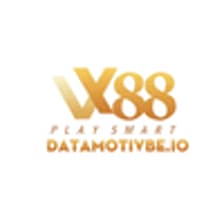 Profile picture for vx88 datamotivbeio
