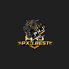 Profile picture for Pxj Best