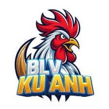 Profile picture for BLV KU ANH