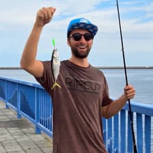 Profile picture for Levi Pells