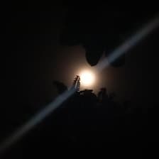 Profile picture for Shiv Shakti Rai