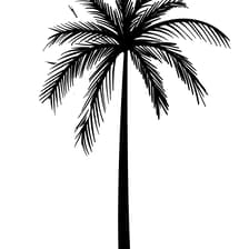 Profile picture for We are Sui