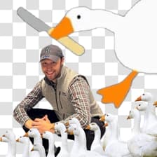 Profile picture for Jack Jackson