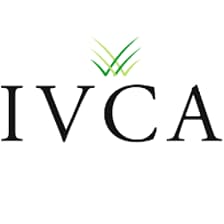 Profile picture for IVC Association