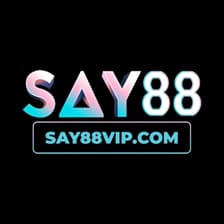 Profile picture for Say88