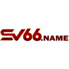 Profile picture for Sv66