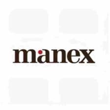 Profile picture for Manex Consulting