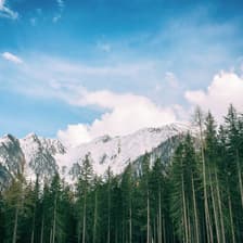 Profile picture for Cece