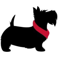 Profile picture for Thomas Tam