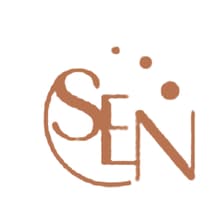 Profile picture for The Social Exective Network