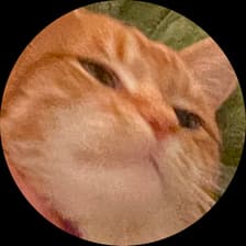 Profile picture for Rudy