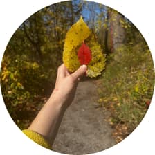 Profile picture for Charlie Price