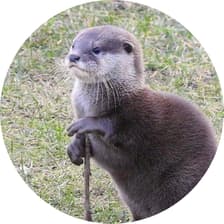 Profile picture for Vinayak