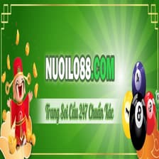 Profile picture for Nuoilo888 com