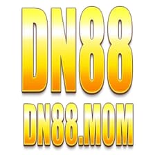 Profile picture for Dn88 mom