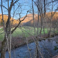 Profile picture for Dee