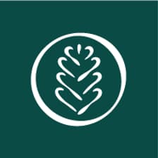 Profile picture for The Heybrook