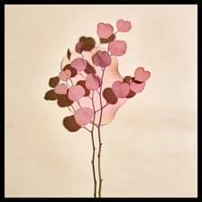 Profile picture for Joasia Cieslak
