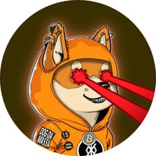 Profile picture for DOG•DA•MASSA