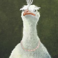 Profile picture for Hortencia Moura