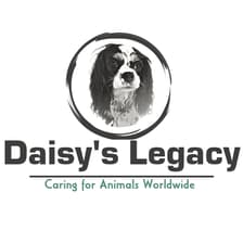 Profile picture for Daisy's Legacy