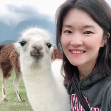 Profile picture for Minji Kim