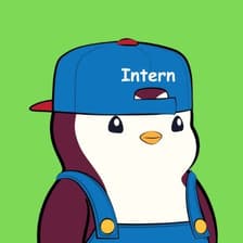 Profile picture for The Crypto intern
