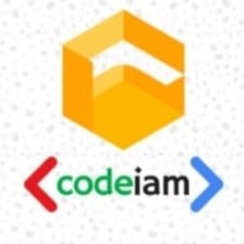 Profile picture for CodeIam