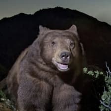 Profile picture for Sam Gammon